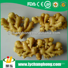 Chinese Air Dried Ginger For UK Market